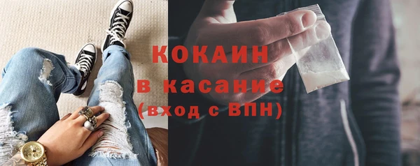 прущие грибы Медвежьегорск