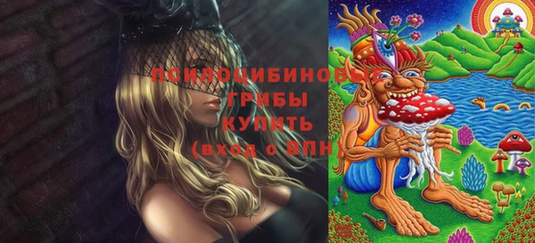 соль курить ск Алексеевка