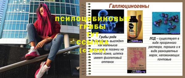 гидра Алексин